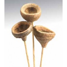 MONKEY PODS  Natural 16"- OUT OF STOCK